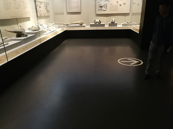 蚌埠博物館改造維護(hù)項(xiàng)目竣工