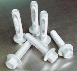 �_(d��)���_���a(ch��n)���İl(f��)չڅ��